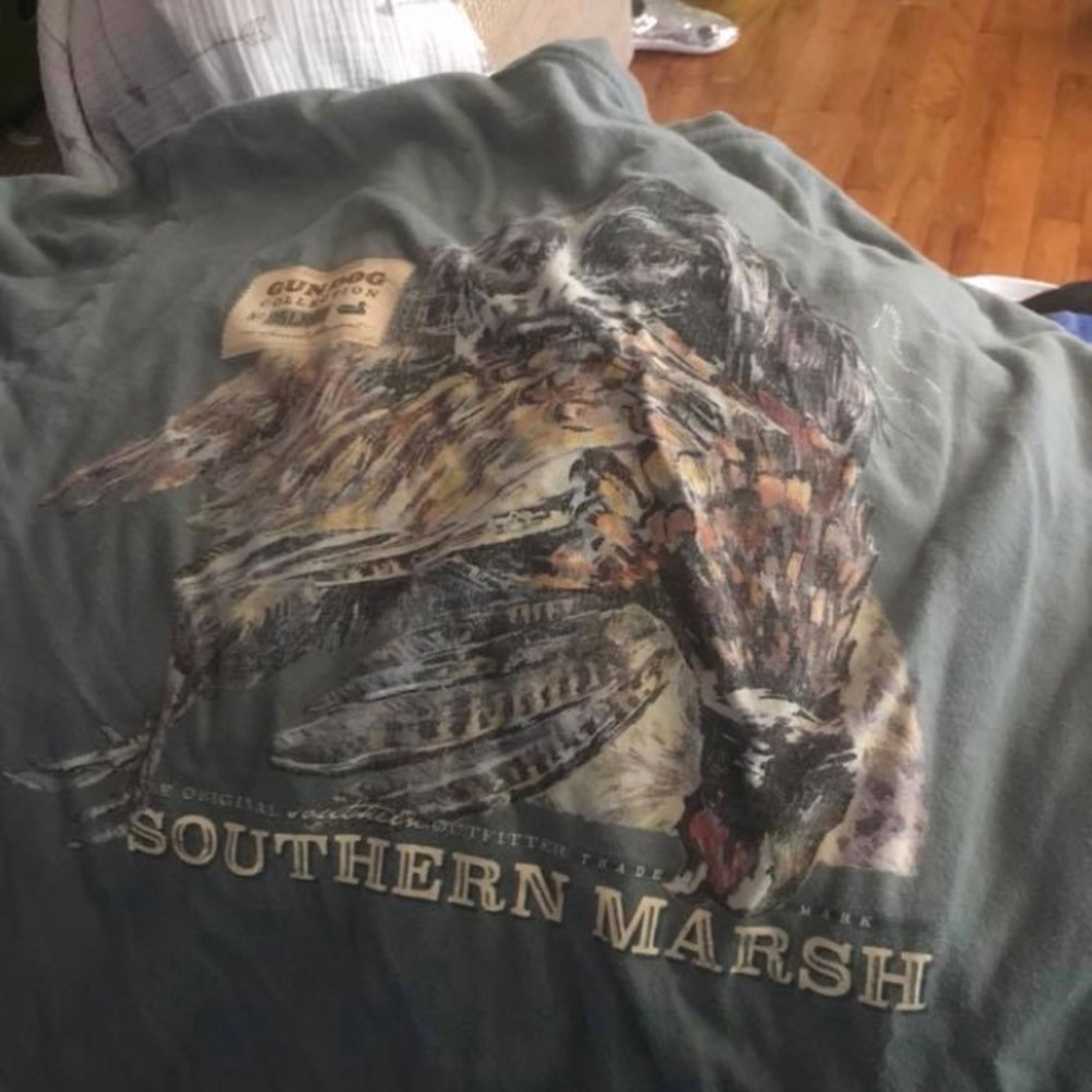 Southern marsh
